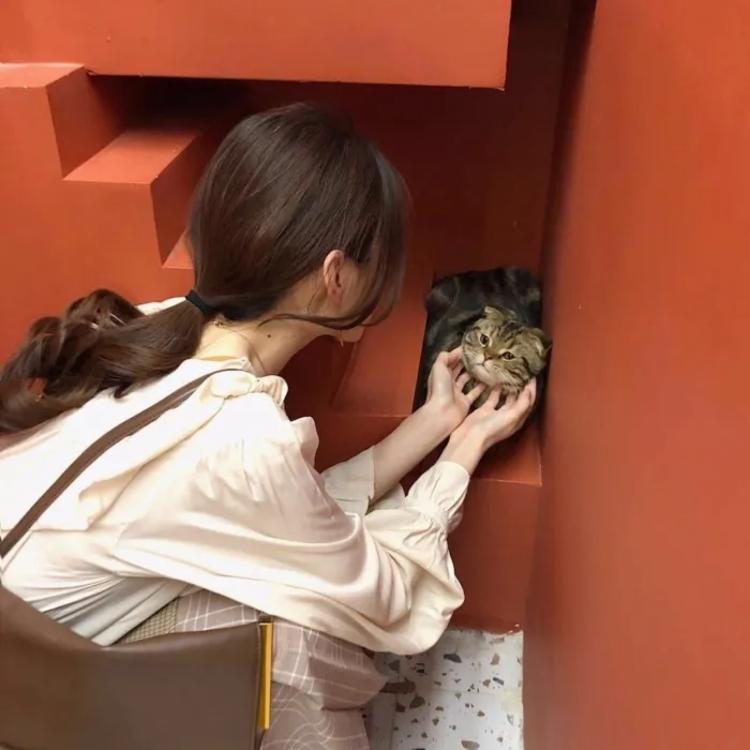 濑田宗次郎（身份：十刃最强、“天剑”、微笑的修罗） - 恐怖电影无删减在线观看 - 线上观看